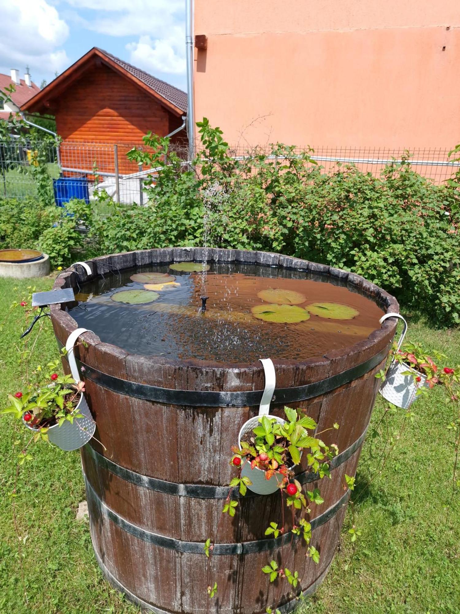 Casa Bokor Hotel Совата Екстериор снимка
